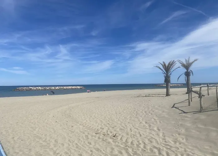 2p Proche Plage, Parking, Quartier Grande - Fr-1-782-9 Appartement *